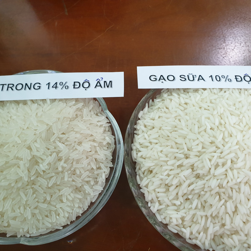 Gạo sữa Dương Xuân Quả